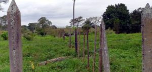 Terreno en venta, Barrancas y Amate; Centro, Villahermosa, Tabasco