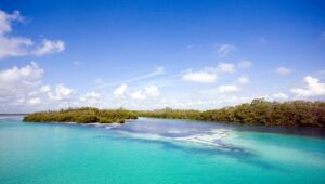 Terreno en venta, a orilla del mar Caribe; Tulum, Quintana Roo.