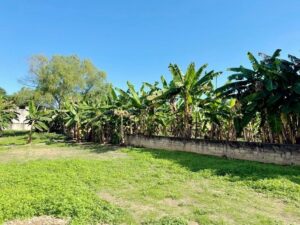 erreno en venta calle Uno, Miguel Hidalgo; Villahermosa, Tabasco