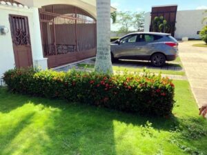 Casa en venta calle Girasol, fraccionamiento Country; Villahermosa, Tabasco