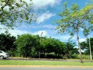 Terreno en venta, Atasta de Serra, avenida Paseo Usumacinta; Villahermosa, Tabasco