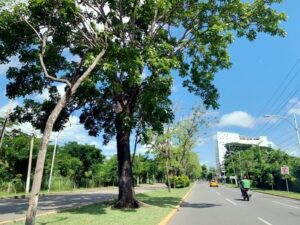 Terreno en venta, Atasta de Serra, avenida Paseo Usumacinta; Villahermosa, Tabasco