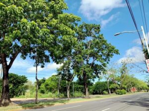 Terreno en venta, Atasta de Serra, avenida Paseo Usumacinta; Villahermosa, Tabasco