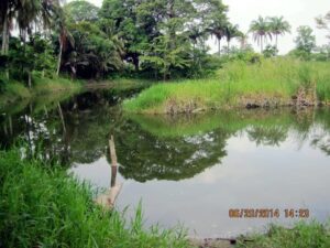 Quinta, Carretera Cárdenas-Comalcalco, colonia Ocampo; Cárdenas, Tabasco