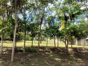 Terreno en venta, Quinta Dorantes, carretera Villahermosa – Escárcega; Municipio Del Centro, Tabasco