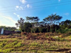 Terreno en venta, Quinta Dorantes, carretera Villahermosa – Escárcega; Municipio Del Centro, Tabasco