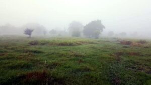 Rancho en venta, La Lima; Parrilla, Tabasco