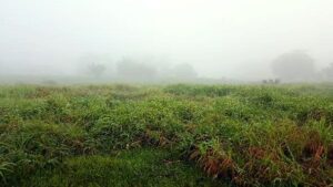 Rancho en venta, La Lima; Parrilla, Tabasco