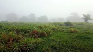 Rancho en venta, La Lima; Parrilla, Tabasco