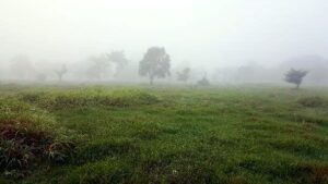 Rancho en venta, La Lima; Parrilla, Tabasco