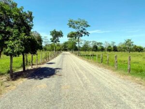 Ranchos en venta, Guanal Segunda Sección; Jalapa, Tabasco