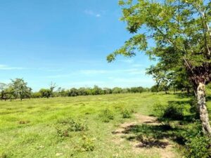 Ranchos en venta, Guanal Segunda Sección; Jalapa, Tabasco