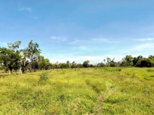 Ranchos en venta, Guanal Segunda Sección; Jalapa, Tabasco