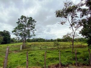 Ranchos en venta, Guanal Segunda Sección; Jalapa, Tabasco