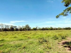 Ranchos en venta, Guanal Segunda Sección; Jalapa, Tabasco