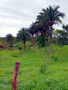 Ranchos en venta; Juárez, Chiapas