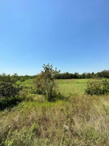 Terreno en venta, ranchería Las Gaviotas; Municipio Centro, Tabasco