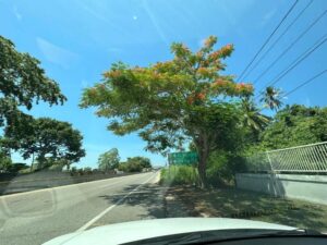 Terreno en venta, carretera federal, Paraíso-Comalcalco; Oriente 1era Sección, Tabasco