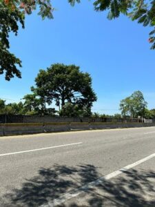 Terreno en venta, carretera federal, Paraíso-Comalcalco; Oriente 1era Sección, Tabasco