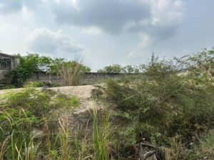 Terreno en renta En Parque DEIT, Anacleto Canabal 1ra Sección, Cerrada calle 3, Centro, Tabasco