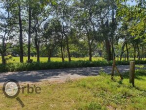 Rancho en venta 332 has, Miramar; Centla, Tabasco