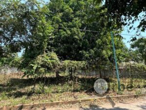 Terreno en venta, Paseo de las Flores frente a Laguna de las Ilusiones; Villahermosa, Tabasco