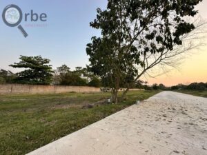 Lotes en venta, fraccionamiento Villa Alejandra, Carretera Villahermosa-Nacajuca; Tabasco