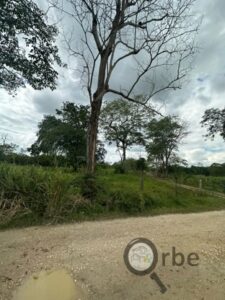 Terreno en venta Ranchería Saloya Corralillo, 2da Sección; Nacajuca, Tabasco