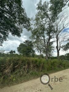 Terreno en venta Ranchería Saloya Corralillo, 2da Sección; Nacajuca, Tabasco