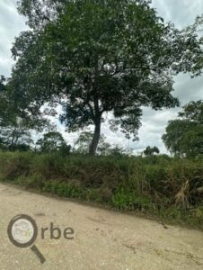 Terreno en venta Ranchería Saloya Corralillo, 2da Sección; Nacajuca, Tabasco