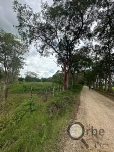 Terreno en venta Ranchería Saloya Corralillo, 2da Sección; Nacajuca, Tabasco