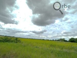 Terreno en venta rancho San Fernando Ranchería Saloya, 2da y 3era Sección; Nacajuca, Tabasco