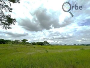 Terreno en venta rancho San Fernando Ranchería Saloya, 2da y 3era Sección; Nacajuca, Tabasco