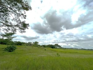 Terreno en venta rancho San Fernando Ranchería Saloya, 2da y 3era Sección; Nacajuca, Tabasco