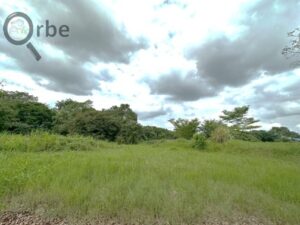 Terreno en venta rancho San Fernando Ranchería Saloya, 2da y 3era Sección; Nacajuca, Tabasco