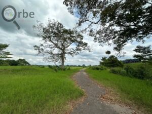 Terreno en venta rancho San Fernando Ranchería Saloya, 2da y 3era Sección; Nacajuca, Tabasco