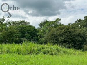 Terreno en venta rancho San Fernando Ranchería Saloya, 2da y 3era Sección; Nacajuca, Tabasco