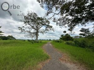 Terreno en venta rancho San Fernando Ranchería Saloya, 2da y 3era Sección; Nacajuca, Tabasco