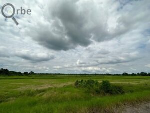 Terreno en venta rancho San Fernando Ranchería Saloya, 2da y 3era Sección; Nacajuca, Tabasco