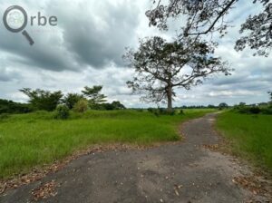 Terreno en venta rancho San Fernando Ranchería Saloya, 2da y 3era Sección; Nacajuca, Tabasco