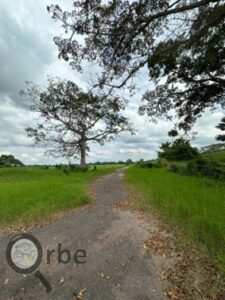 Terreno en venta rancho San Fernando Ranchería Saloya, 2da y 3era Sección; Nacajuca, Tabasco