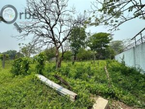 Terreno en Venta, Buena Vista, 1ra Sección; Río Nuevo, Tabasco