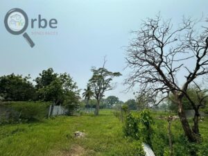 Terreno en Venta, Buena Vista, 1ra Sección; Río Nuevo, Tabasco