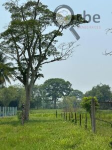 Terreno en Venta, Buena Vista, 1ra Sección; Río Nuevo, Tabasco