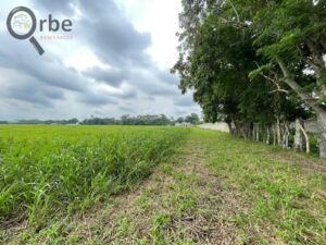 Terreno en venta, Ranchería Rio Viejo, carretera Villahermosa- Reforma; Centro, Tabasco