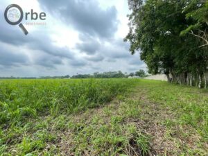 Terreno en venta, Ranchería Rio Viejo, carretera Villahermosa- Reforma; Centro, Tabasco