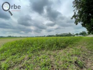 Terreno en venta, Ranchería Rio Viejo, carretera Villahermosa- Reforma; Centro, Tabasco