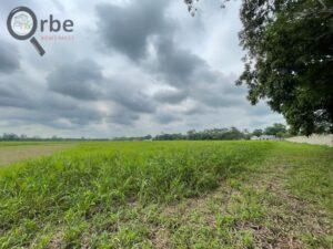 Terreno en venta, Ranchería Rio Viejo, carretera Villahermosa- Reforma; Centro, Tabasco