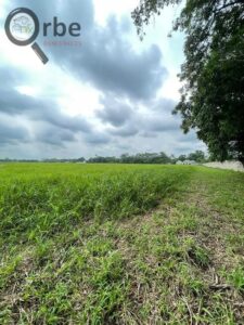 Terreno en venta, Ranchería Rio Viejo, carretera Villahermosa- Reforma; Centro, Tabasco