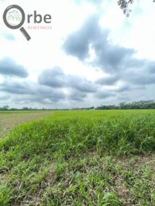 Terreno en venta, Ranchería Rio Viejo, carretera Villahermosa- Reforma; Centro, Tabasco